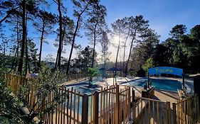 Village de Chalets Camping Bois Simonet