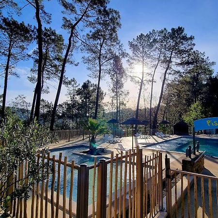 Village de Chalets Camping Bois Simonet Joyeuse Extérieur photo