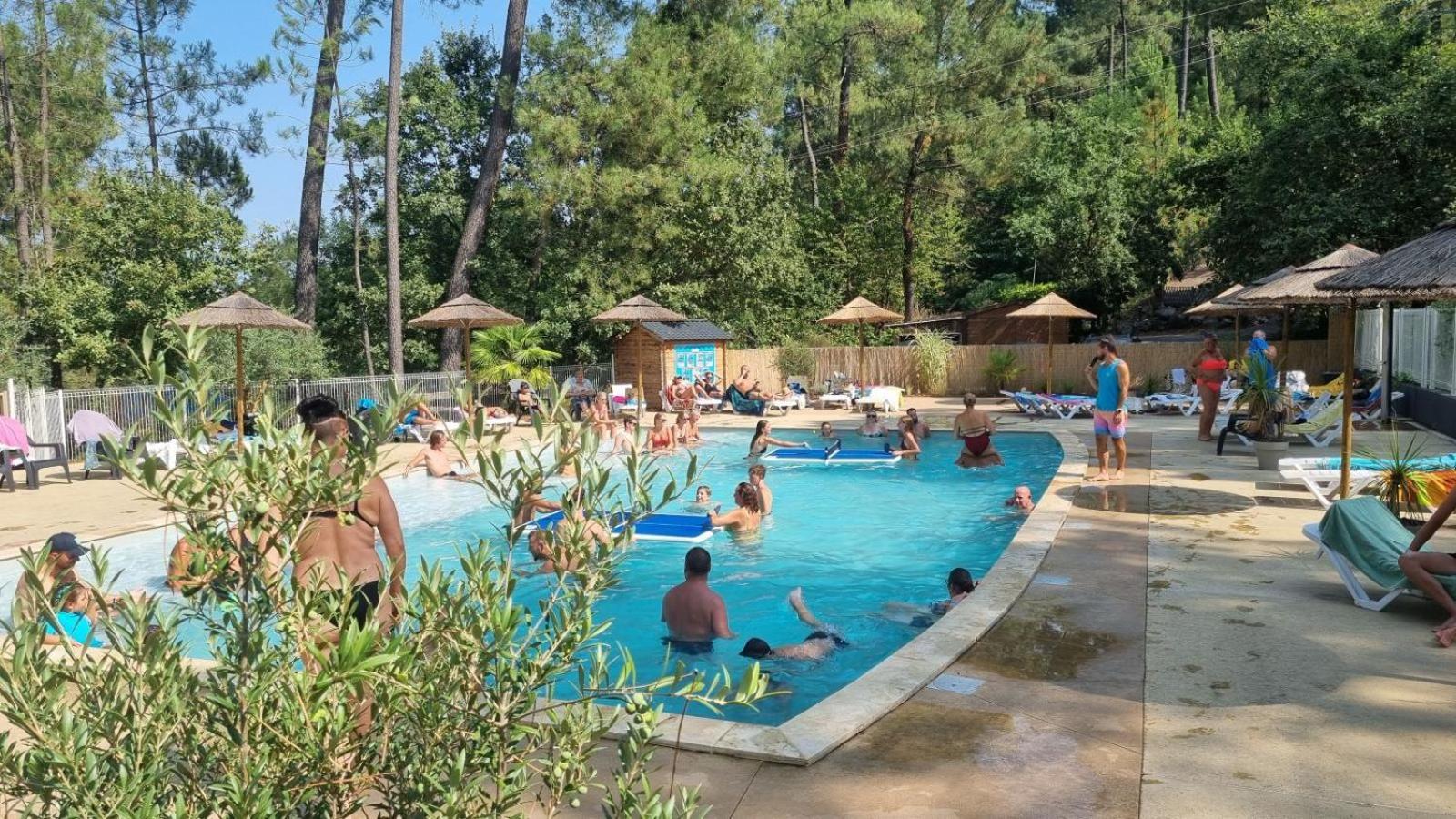 Village de Chalets Camping Bois Simonet Joyeuse Extérieur photo