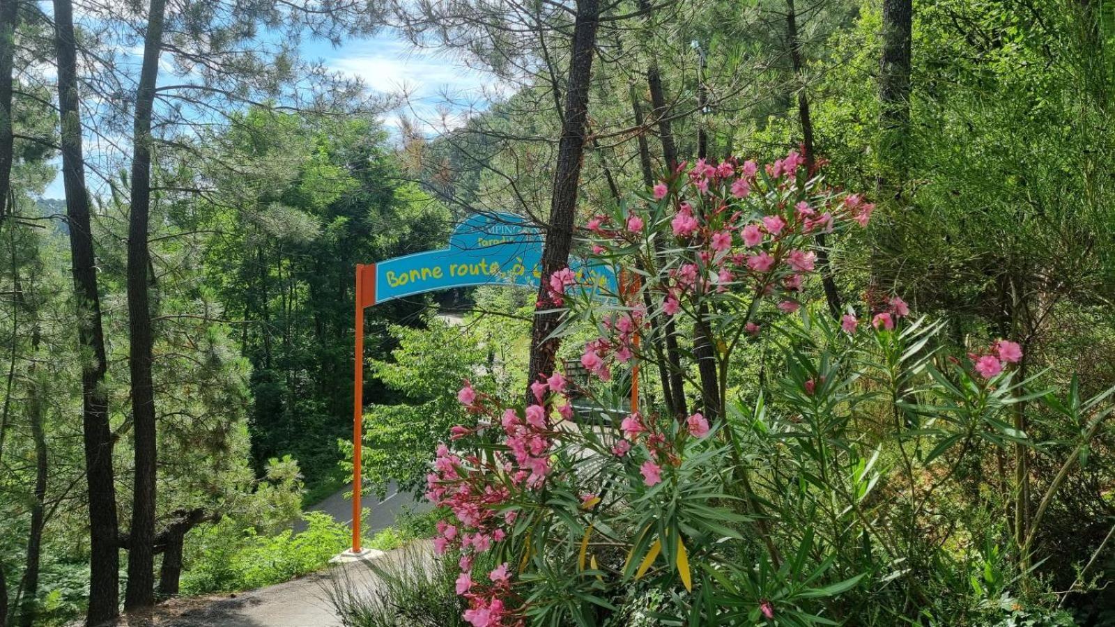 Village de Chalets Camping Bois Simonet Joyeuse Extérieur photo